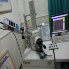 SEM 掃描式電子顯微鏡